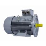Электродвигатель ESQ PR 112 M4-SDN-Б1-S12-IE2 IM B35