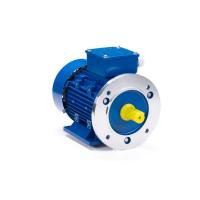 Электродвигатель ESQ 90 LB4-SDN-ET2 IM B35 - фото