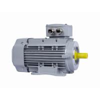 Электродвигатель ESQ PR 100 LB4-SDN-Б1-S12-IE2 IM B34 - фото Электродвигатель ESQ PR 100 LB4-SDN-Б1-S12-IE2 IM B34 - фото