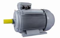 Электродвигатель ESQ PR 280 S2-SDN-Б1-S12-IE2 IM B3 - фото Электродвигатель ESQ PR 280 S2-SDN-Б1-S12-IE2 IM B3 - фото