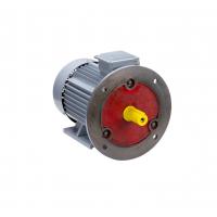 Электродвигатель ESQ PR 200 M6 GST-Б1-S12-IE2  IM 2001 - фото