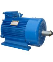 Электродвигатель МТКН 200 LB6 1003 30кВт 380В У1 - фото
