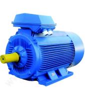 Электродвигатель 5АИ 355 S6 160/1000 IM1001/1081 160кВт 380В УХЛ1 - фото