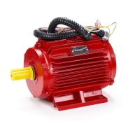 Электродвигатель ESQ 0.75.4-FR-400C-2hR IM 1081 - фото