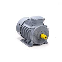 Электродвигатель ESQ PR 225 M2 GST-Б1-S12-IE2 IM 1001 - фото