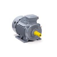 Электродвигатель ESQ PR 132 S4 GST-Б1-S12-IE2 IM 1081 - фото