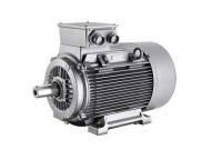 Электродвигатель Siemens 1LG4280-2AB60-ZG17+D22 - фото