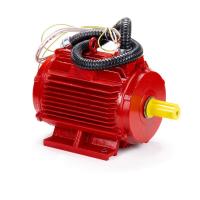Электродвигатель ESQ 7.6.2-FR-400C-2hR  IM 1081 - фото