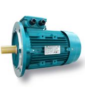 Электродвигатель 160MA2-SDN-MC2-11/3000 B5 11кВт 380/660В DIN У2 - фото
